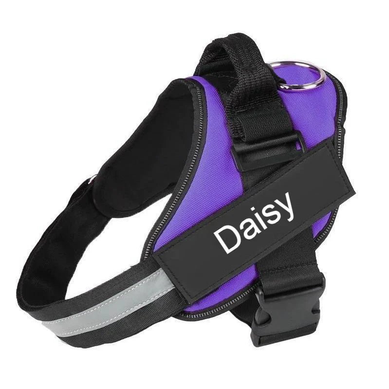 Customizable No Pull Dog Harness with Comfort Fit - Lexians