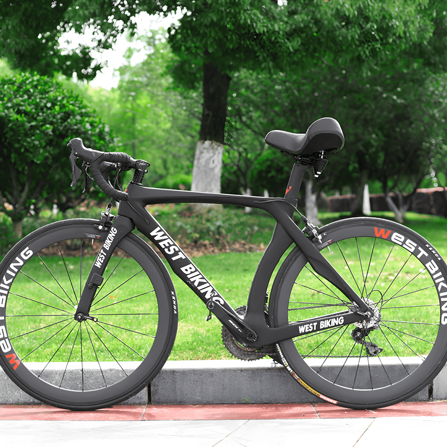 ErgoRide Throne Bike Saddle for Unmatched Comfort - Lexians