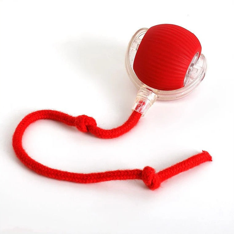 Interactive dog rolling ball with tail; vibrant, durable design; random movement; ideal for playful dog engagement.