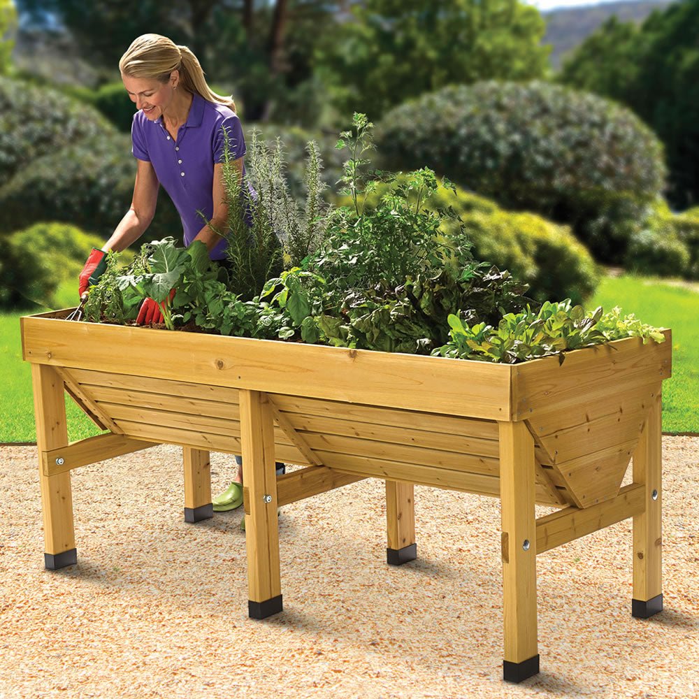 Large Pest Protection Raised Garden Bed for Optimal Growing - Lexians