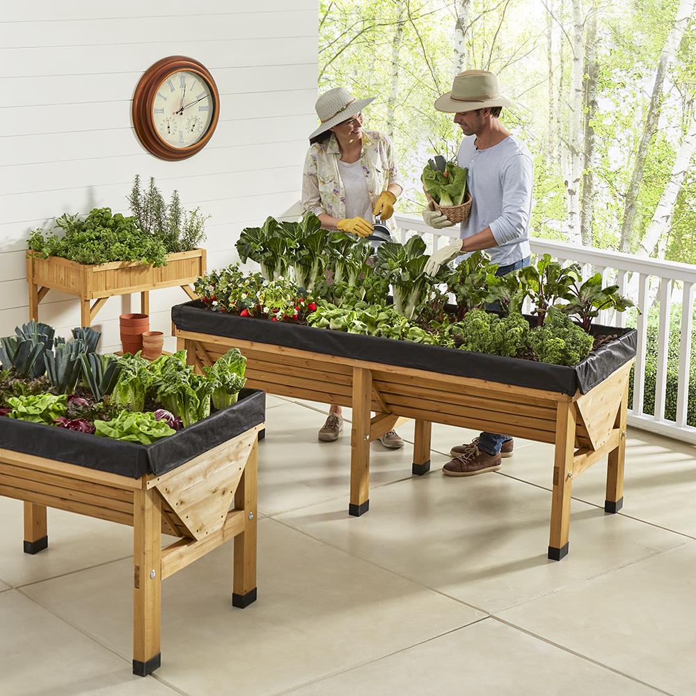 Large Pest Protection Raised Garden Bed for Optimal Growing - Lexians