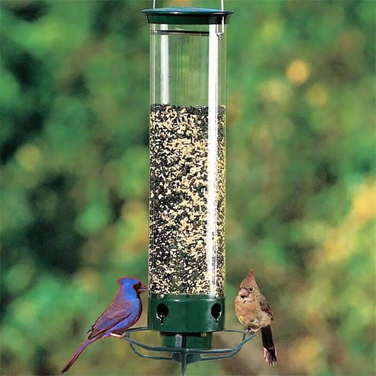 Metal Squirrel Proof Hanging Bird Feeder with Spinning Perch - Lexians