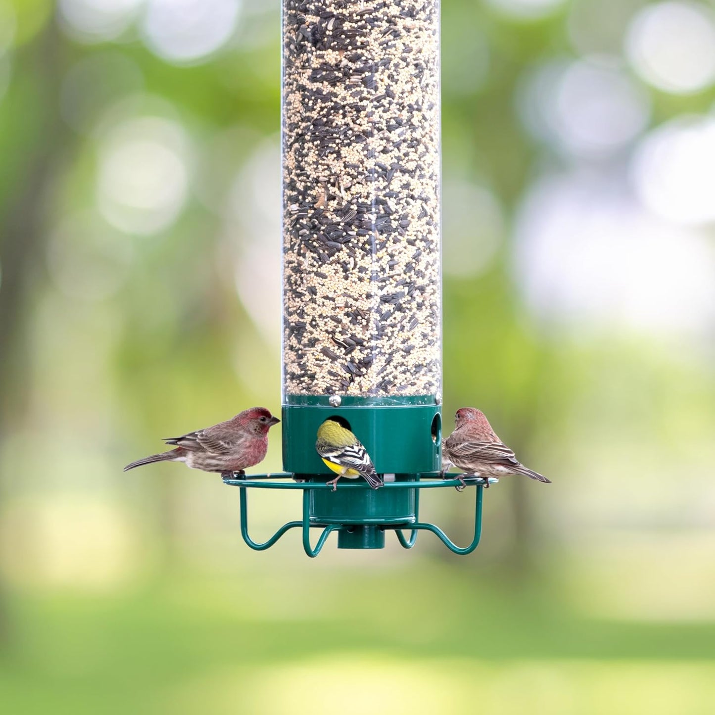 Metal Squirrel Proof Hanging Bird Feeder with Spinning Perch - Lexians