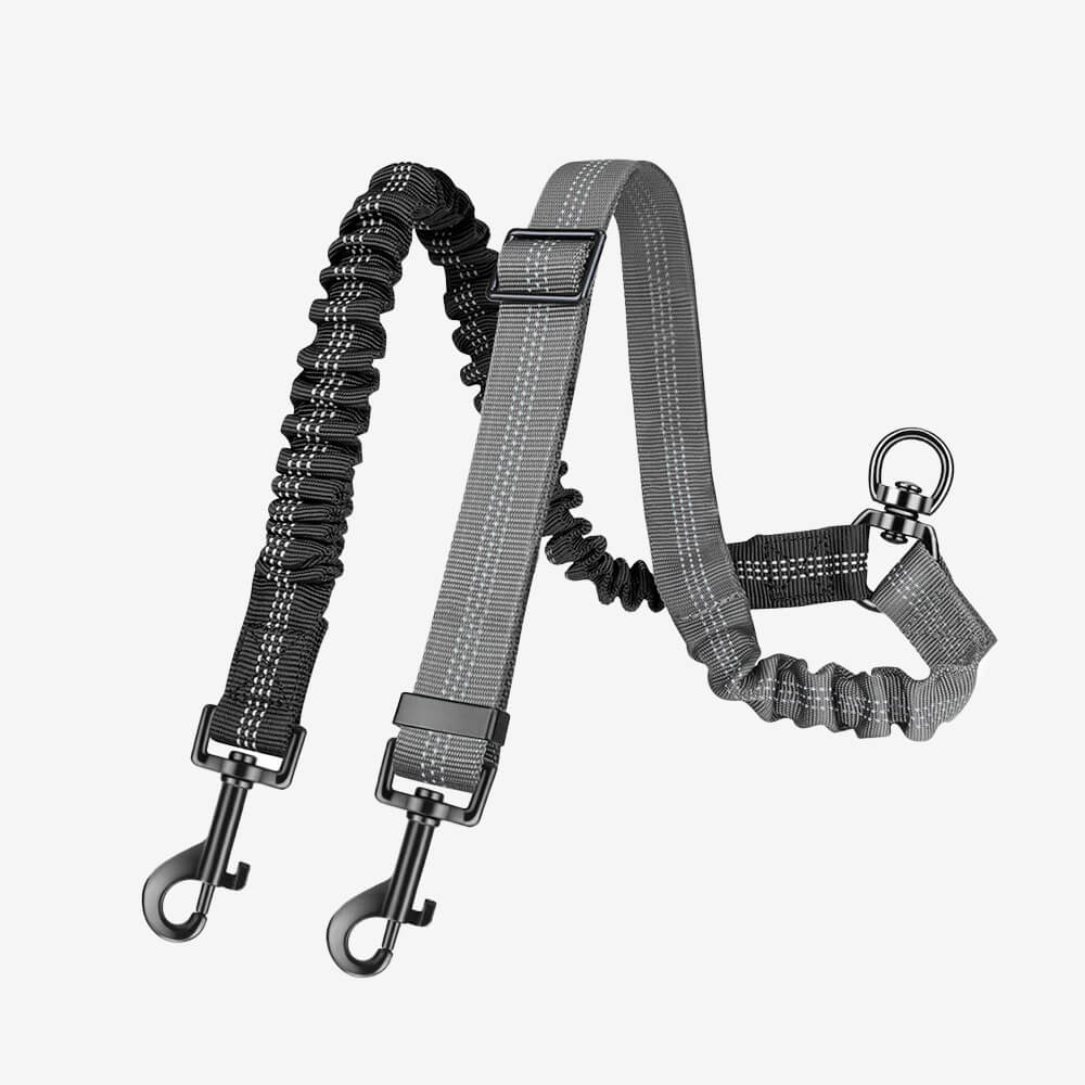 No - Tangle Shock Absorbing Double Lead Dog Leash - Lexians