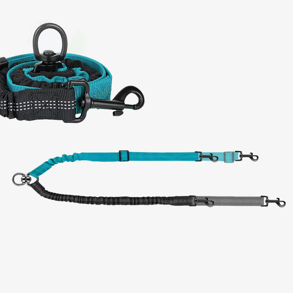 No - Tangle Shock Absorbing Double Lead Dog Leash - Lexians