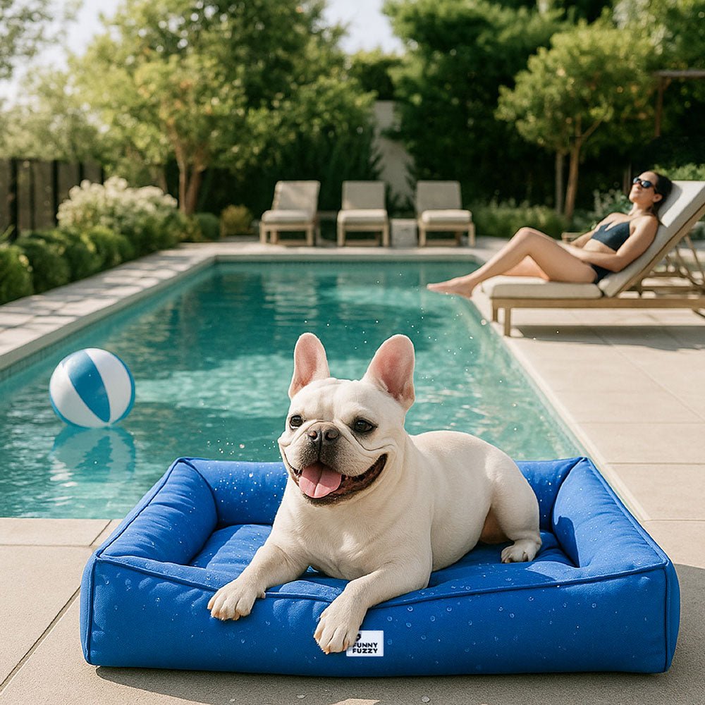 Orthopedic Waterproof Large Dog Bed for Optimal Comfort - Lexians