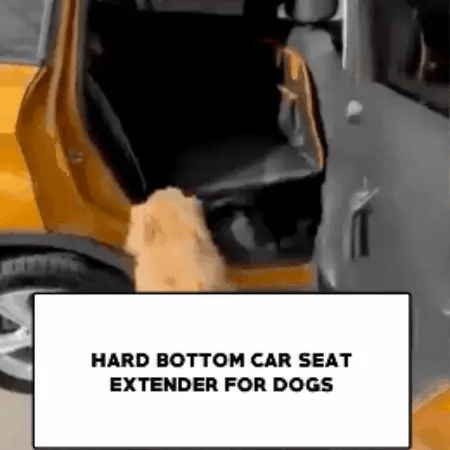 Pet Car Seat Protector for Safe and Comfortable Travels - Lexians