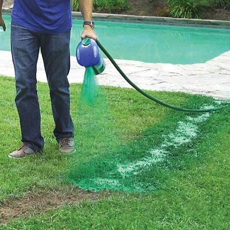 Quick Grow Liquid Lawn Seed Spray for Lush Green Lawns - Lexians