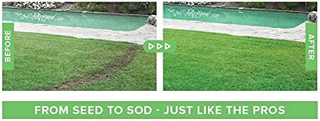 Quick Grow Liquid Lawn Seed Spray for Lush Green Lawns - Lexians