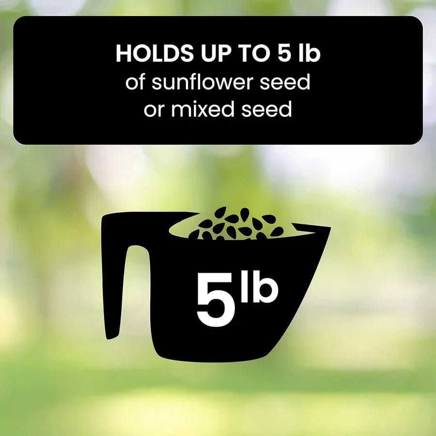 Squirrel - Proof Metal Bird Feeder with Rotating Perch - Lexians