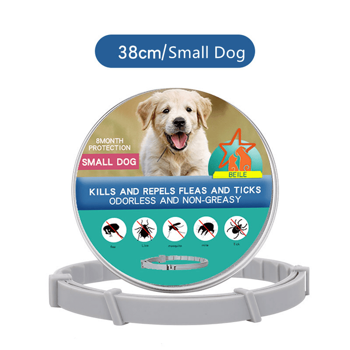Pet's 8-month anti-flea & tick protection collar, ensuring continuous pest control for animal health.