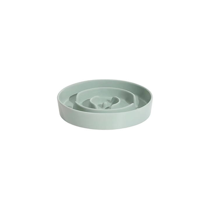 Easy-to-clean ceramic slow feeder pet bowl for daily healthy meals.