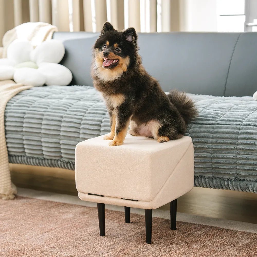 2 - in - 1 Convertible Wooden Dog Ramp and Step Stool - Lexians