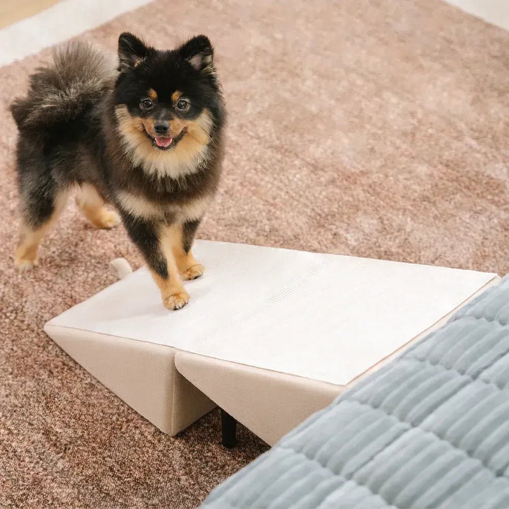 2 - in - 1 Convertible Wooden Dog Ramp and Step Stool - Lexians