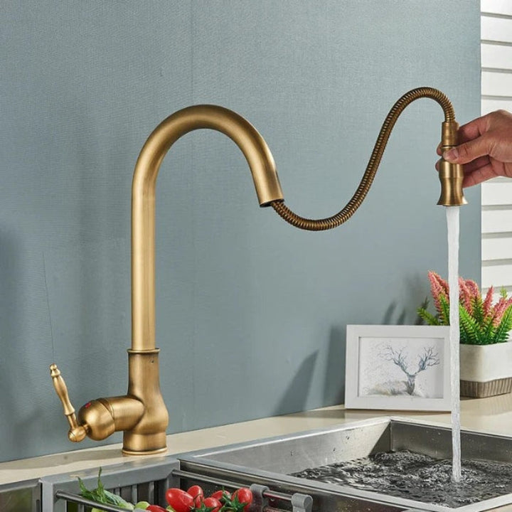 Antique style gold finish kitchen faucet. Elegant brass plumbing fixture with flexible spout.