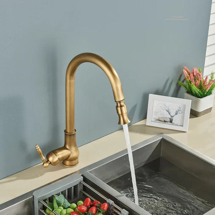 Gold finish kitchen sink faucet, a classic brass tap with flexible spout for versatile water flow.