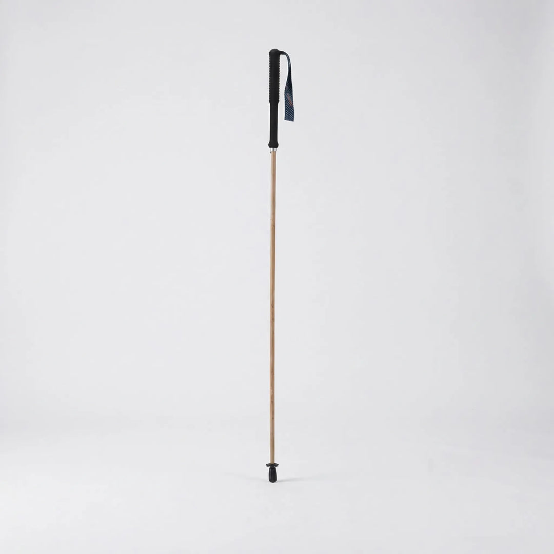 Collapsible trekking pole, perfect for travel & hiking. Ultra-light design, fits easily in backpacks for adventure.