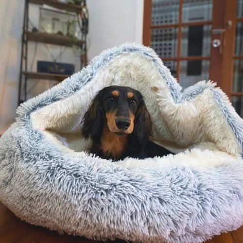 Plush, soft dog calming bed for anxious pets. Features orthopedic support & washable fabric for ultimate comfort.