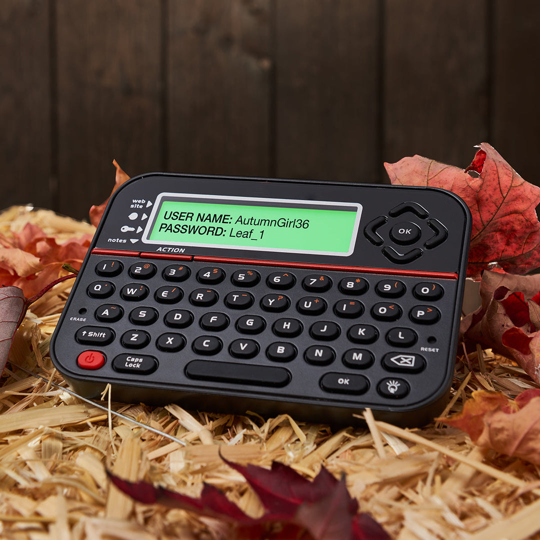 Secure offline password keeper vault, offering robust data protection with PIN access.