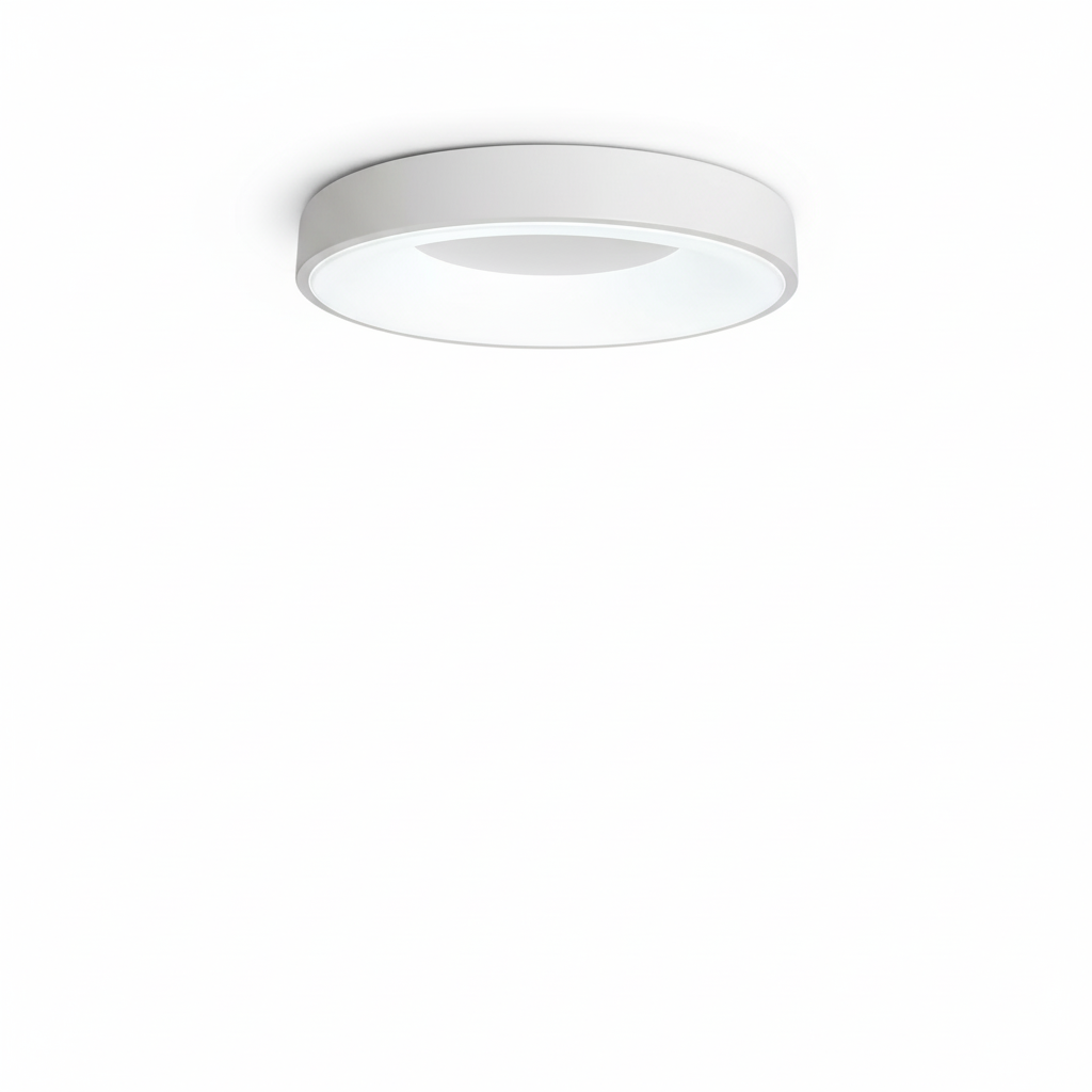 Contemporary Circular Metal LED Ceiling Light