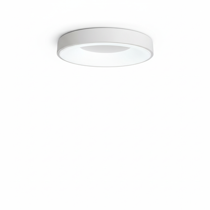 Contemporary Circular Metal LED Ceiling Light