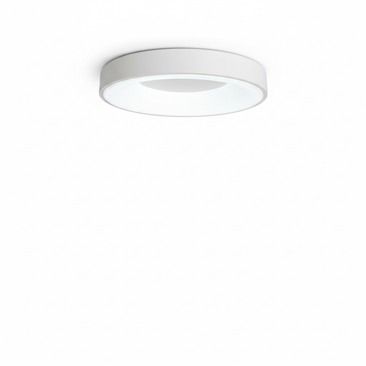 Contemporary Circular Metal LED Ceiling Light