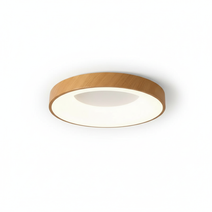 Contemporary Circular Metal LED Ceiling Light