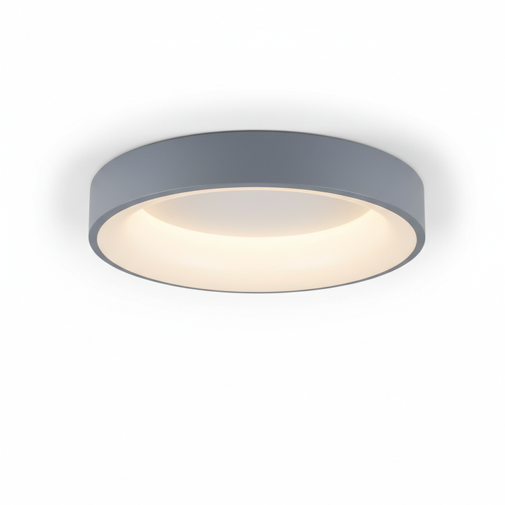 Contemporary Circular Metal LED Ceiling Light