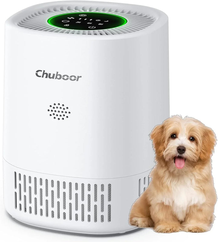 Compact HEPA air purifier for home, powerful allergy and smoke relief, pet odor and dust remover for fresh air.