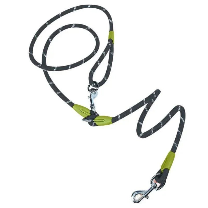 Elastic hands-free dog leash for comfortable pet walking & jogging, designed for active dogs & owners.