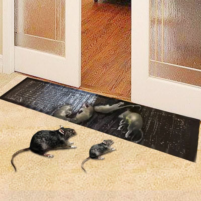 Large non-toxic sticky traps, 10 count. Effective rodent, mouse, rat, & insect adhesive trap for pest control.
