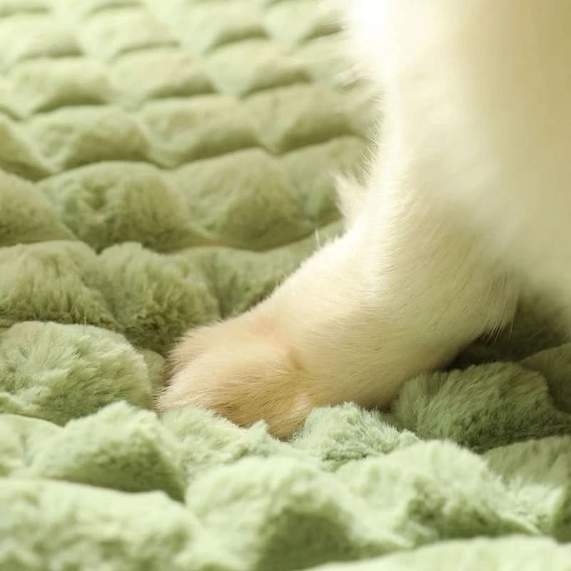 Washable pet bed ensuring ultimate comfort & durable support for dogs. Easy-clean removable cover.