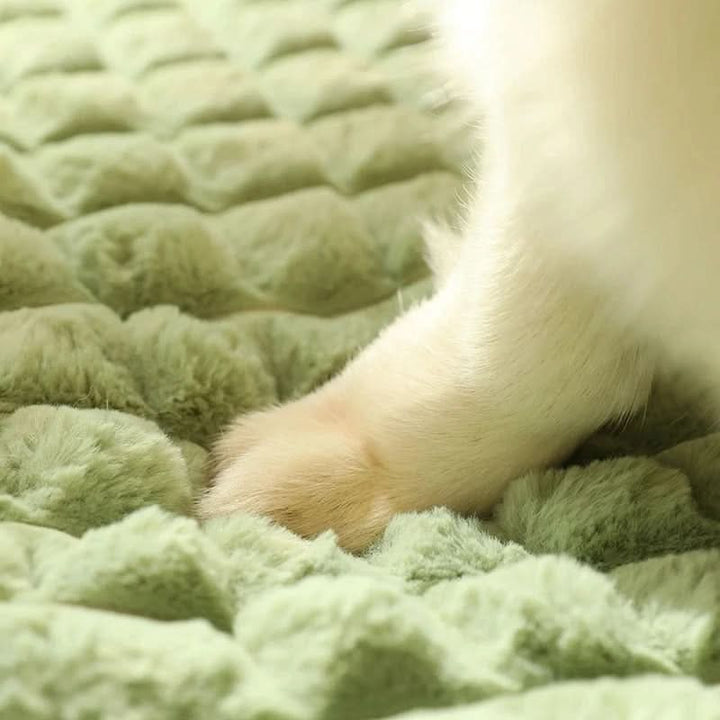 Washable pet bed ensuring ultimate comfort & durable support for dogs. Easy-clean removable cover.