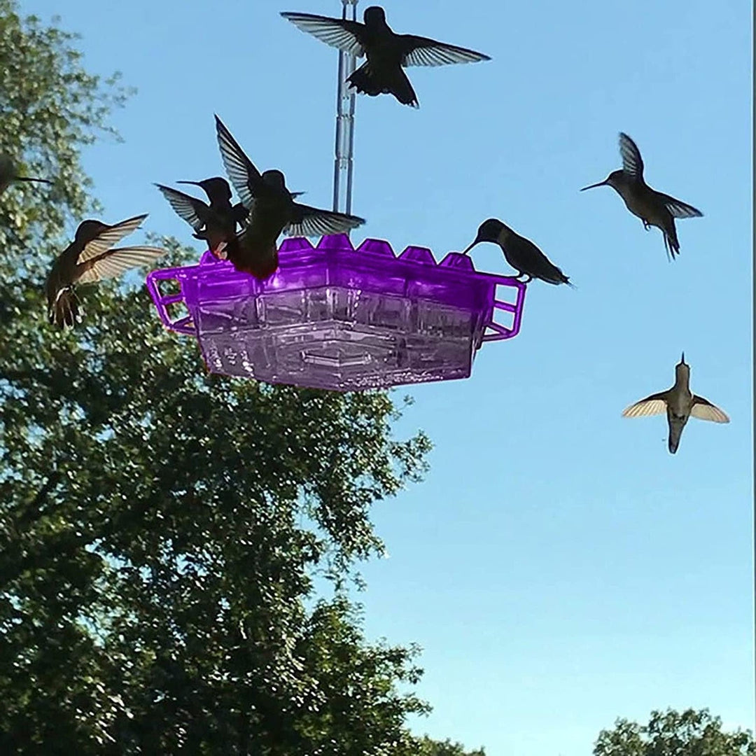 "Ant proof hummingbird feeder with raised ports, outdoor perch, hexagonal design, UV-resistant, ideal for gardens."