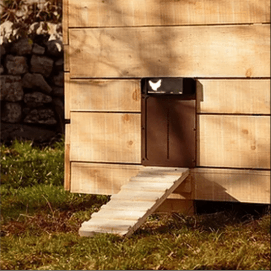Automatic Chicken Coop Door Light Sensor, Weatherproof - Lexians