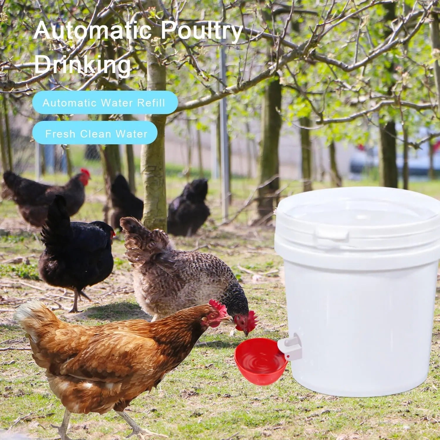 Automatic Poultry Waterer Cups Set for Chickens and Ducks - Lexians