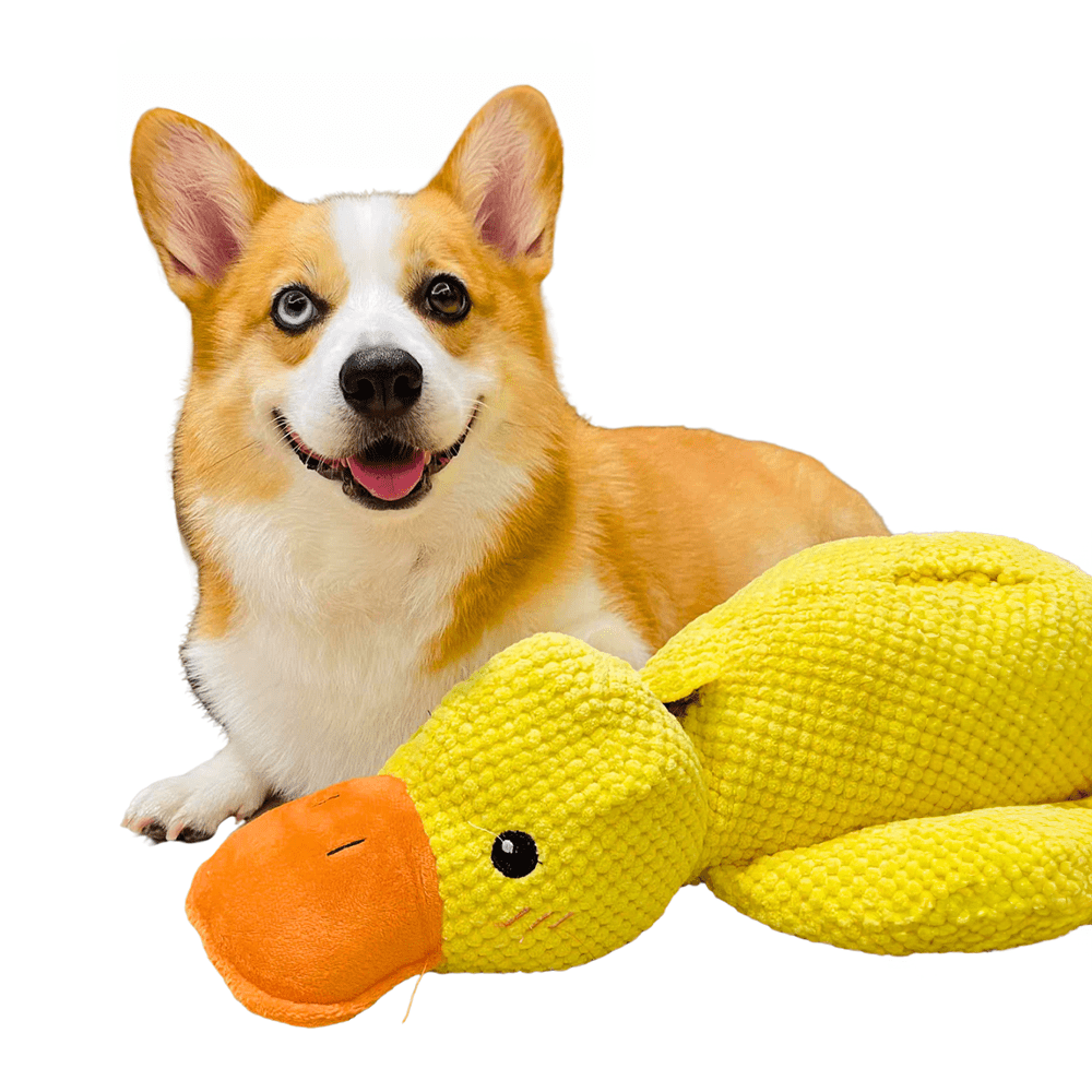 Calming Durable Duck Toy for Dogs - Yellow Enrichment Play - Lexians