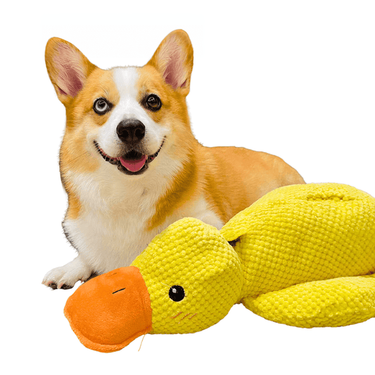 Calming Durable Duck Toy for Dogs - Yellow Enrichment Play - Lexians