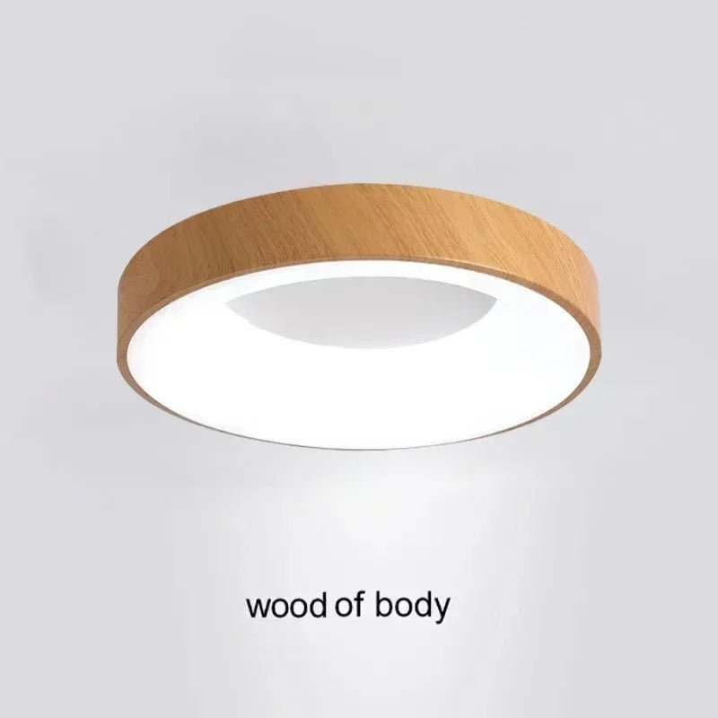 Contemporary Circular Metal LED Ceiling Light - Lexians