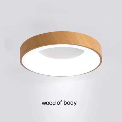 Contemporary Circular Metal LED Ceiling Light - Lexians