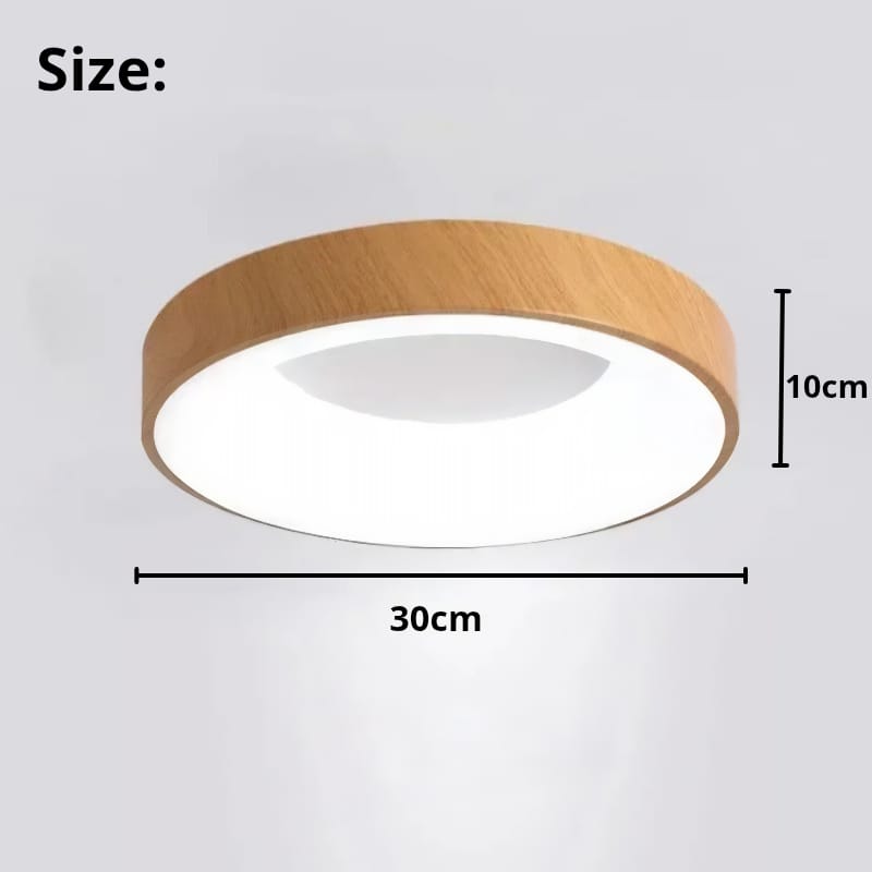 Contemporary Circular Metal LED Ceiling Light - Lexians