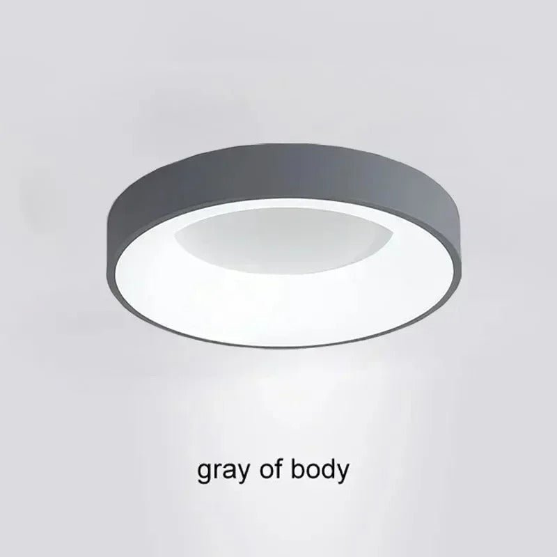 Contemporary Circular Metal LED Ceiling Light - Lexians