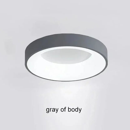 Contemporary Circular Metal LED Ceiling Light - Lexians