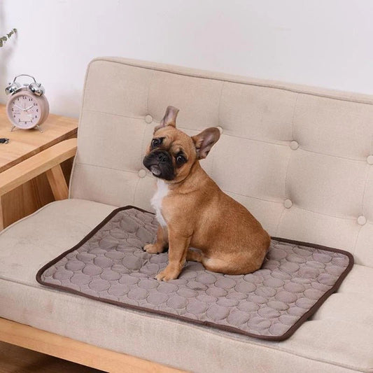 Cooling Pad for Pets - Lightweight and Portable Design - Lexians