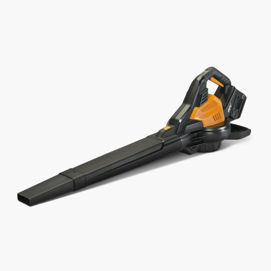 Cordless 3 - in - 1 Leaf Blower Vacuum Mulcher - Lexians