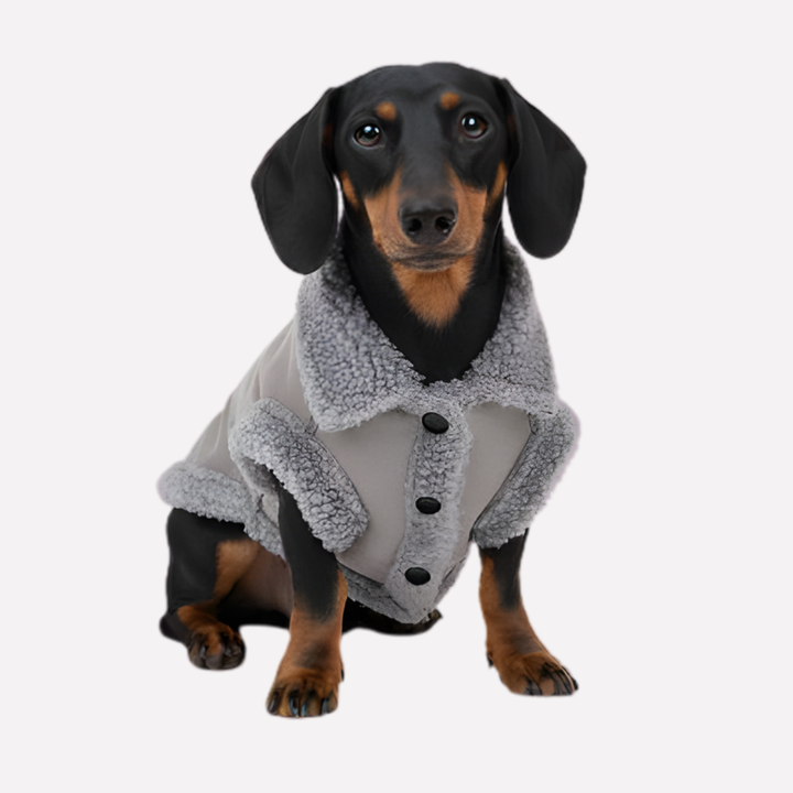 Stylish warm dog vest, perfect winter clothes for small to medium dogs. A cozy pet coat for cold weather.