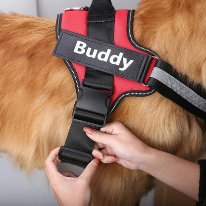 Customizable No Pull Dog Harness with Comfort Fit - Lexians