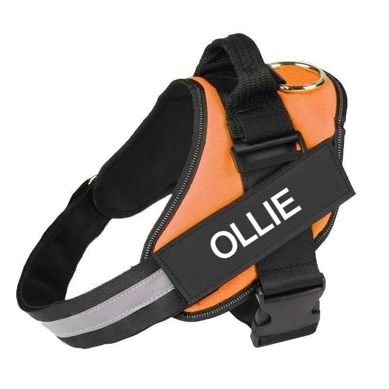 Customizable No Pull Dog Harness with Comfort Fit - Lexians