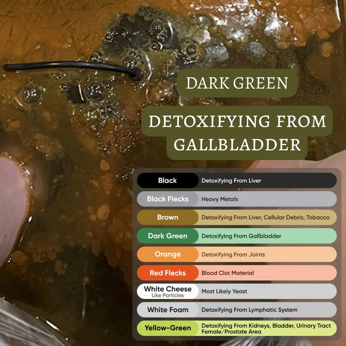 Detoxifying Ionic Foot Spa for Healthier Living - Lexians
