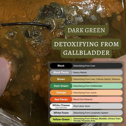Detoxifying Ionic Foot Spa for Healthier Living - Lexians